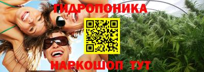 jwh Лесосибирск