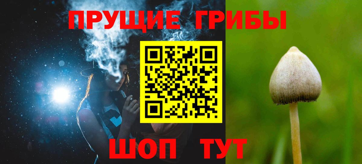 Елизово  Псилоцибиновые грибы GOLDEN TEACHER  Вход с VPN  Галлюциногенные грибы Psilocybe 