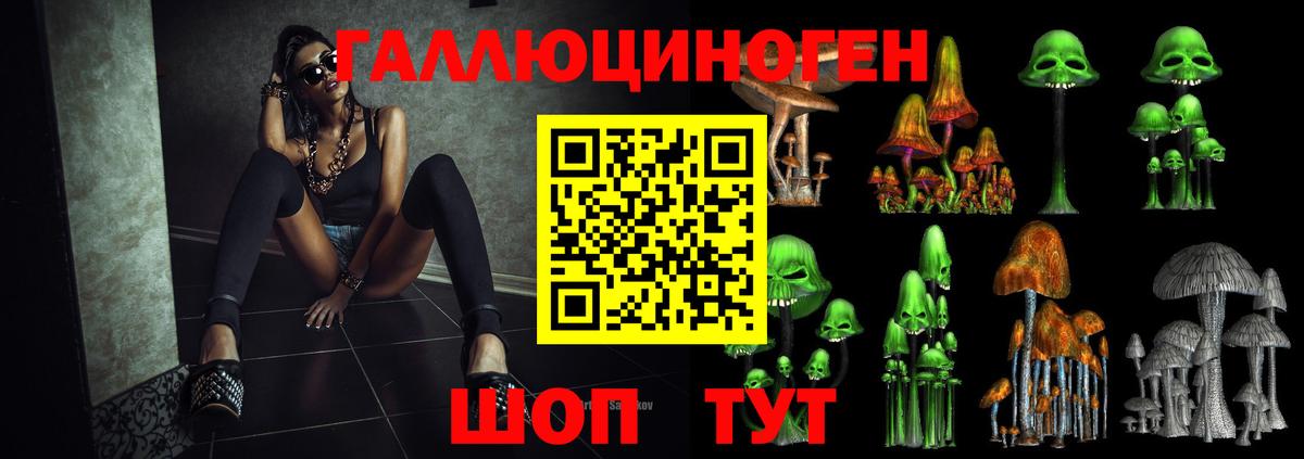 Галлюциногенные грибы GOLDEN TEACHER Елизово